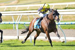 Chartres, Peninsula Cup, Mornington 3 November 2024